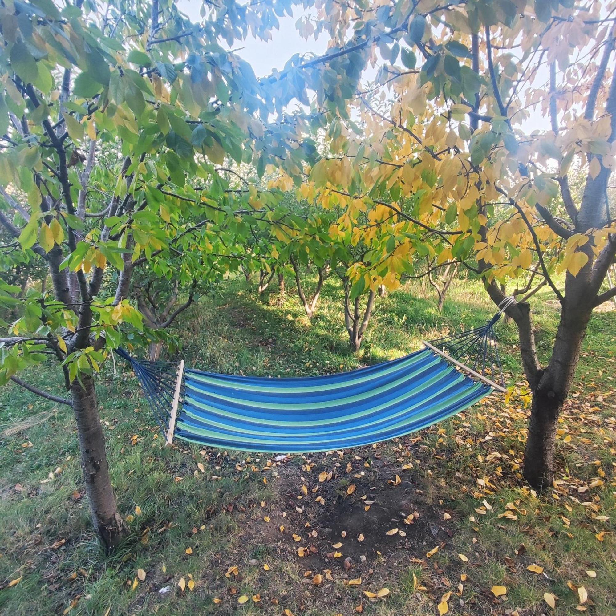 Lanj In Eco Garden/ Guest House Nurnus Экстерьер фото